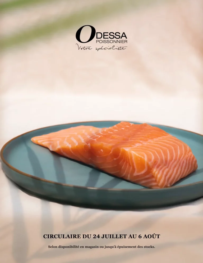 Circulaire Odessa Poissonnier Du 24 juillet au 6 août 2025