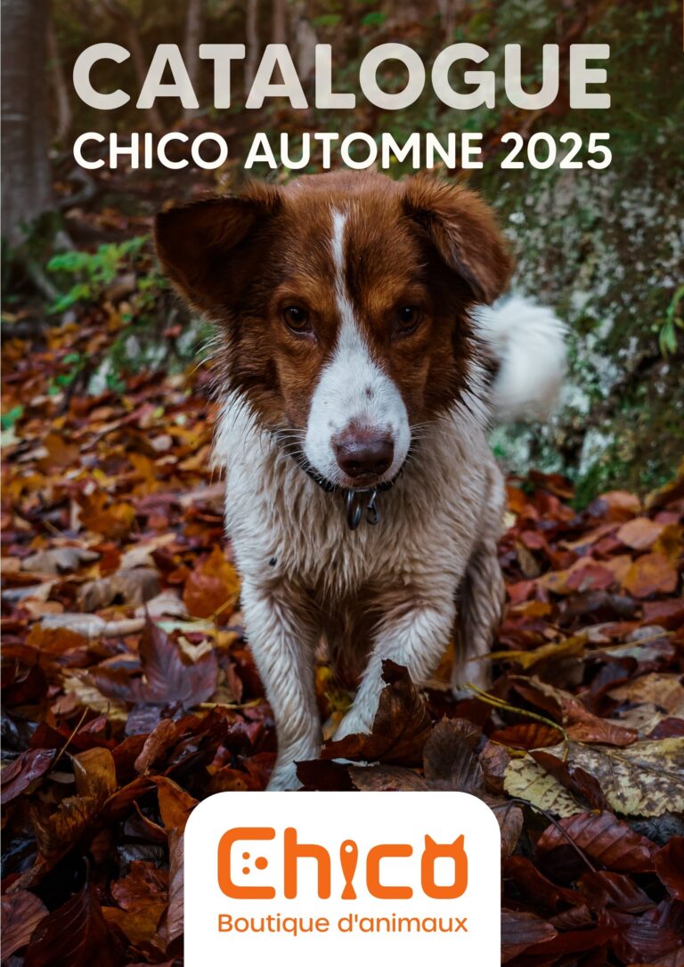 Circulaire Chico Boutique d’Animaux Du 14 septembre au 31 octobre 2025