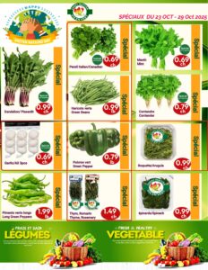 Circulaire Marché Vie en Vert Du 23 au 29 octobre 2025