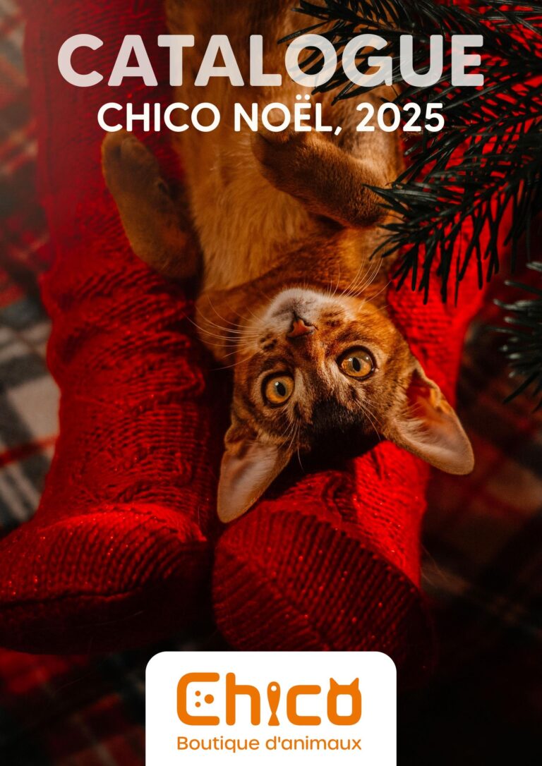 Circulaire Chico Boutique d’Animaux Noël Du 5 novembre au 31 décembre 2025