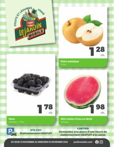 Circulaire Jardin Mobile Du 13 au 19 novembre 2025