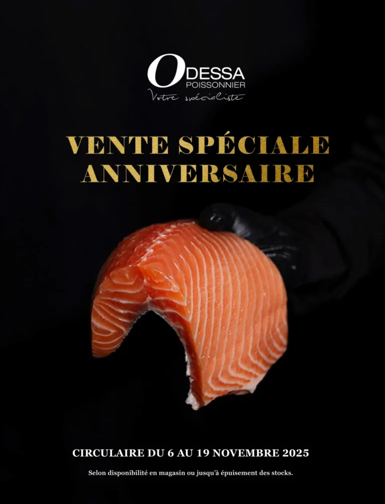 Circulaire Odessa Poissonnier Du 6 au 19 novembre 2025