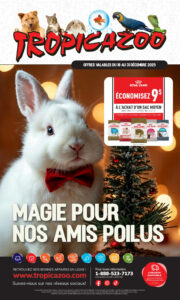 Circulaire Tropicazoo Du 18 au 31 décembre 2025