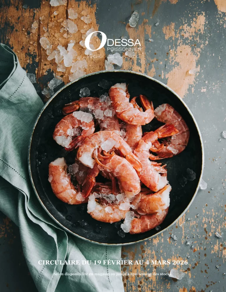 Circulaire Odessa Poissonnier Du 19 février au 4 mars 2026