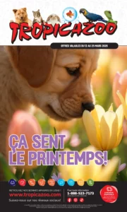 Circulaire Tropicazoo Du 12 au 25 mars 2026