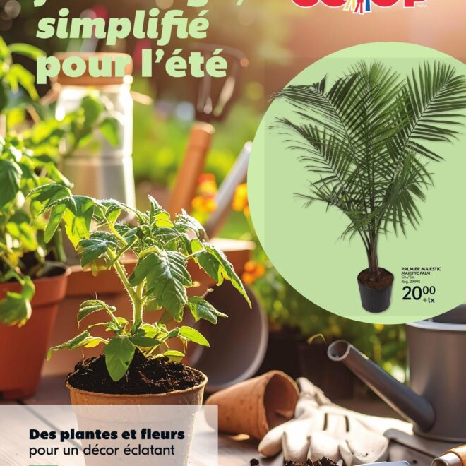 Circulaire IGA – Nouveau Brunswick Jardinage Du 30 Avril au 6 mai 2026