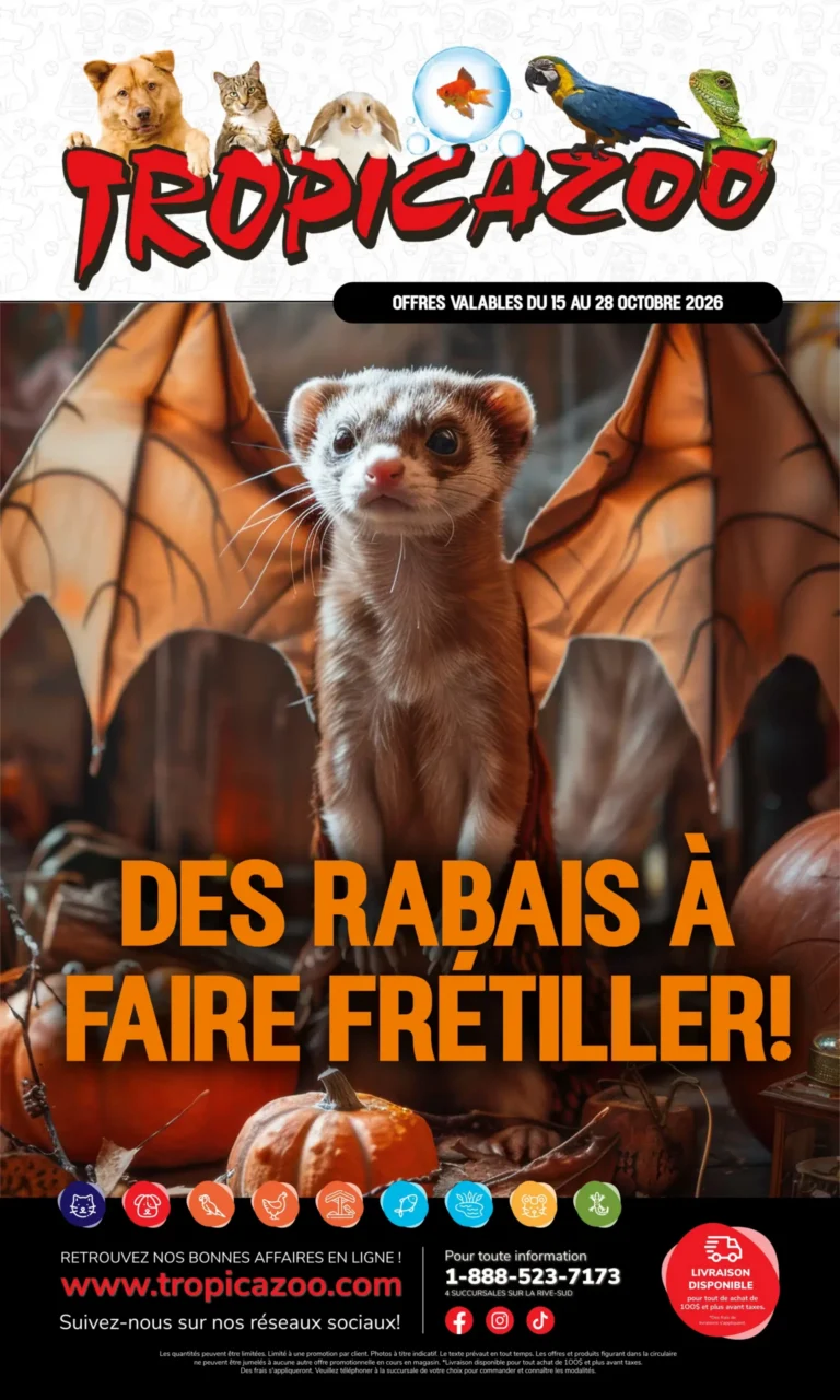Tropicazoo — Circulaire Tropicazoo du 15 au 28 octobre 2026